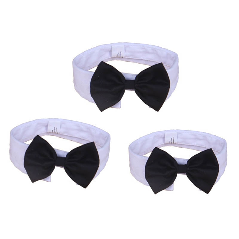 Butterfly Bow Tie Pet Collar for Polished Photo Style