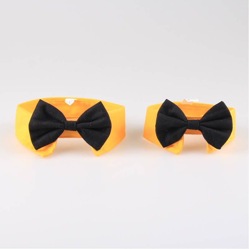 Butterfly Bow Tie Pet Collar for Polished Photo Style