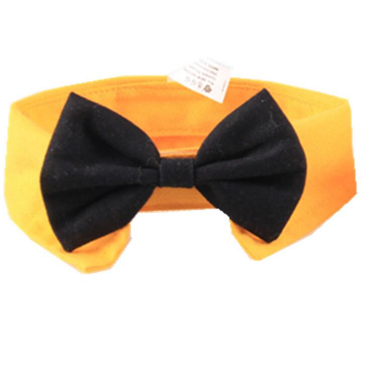 Butterfly Bow Tie Pet Collar for Polished Photo Style
