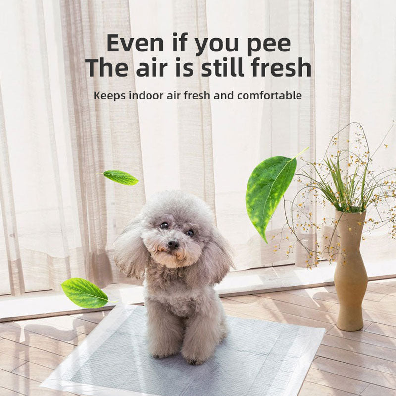 Carbon Dog Urine Pads for Odor Control & Leak Protection