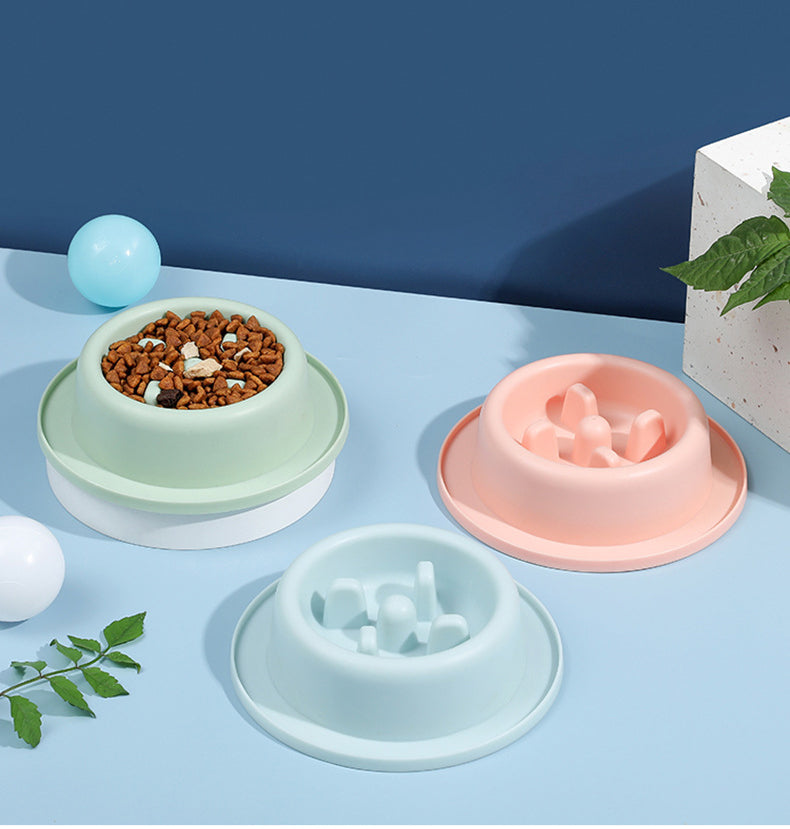Slow Feeder Pet Bowl for Cats & Dogs, Stable Base