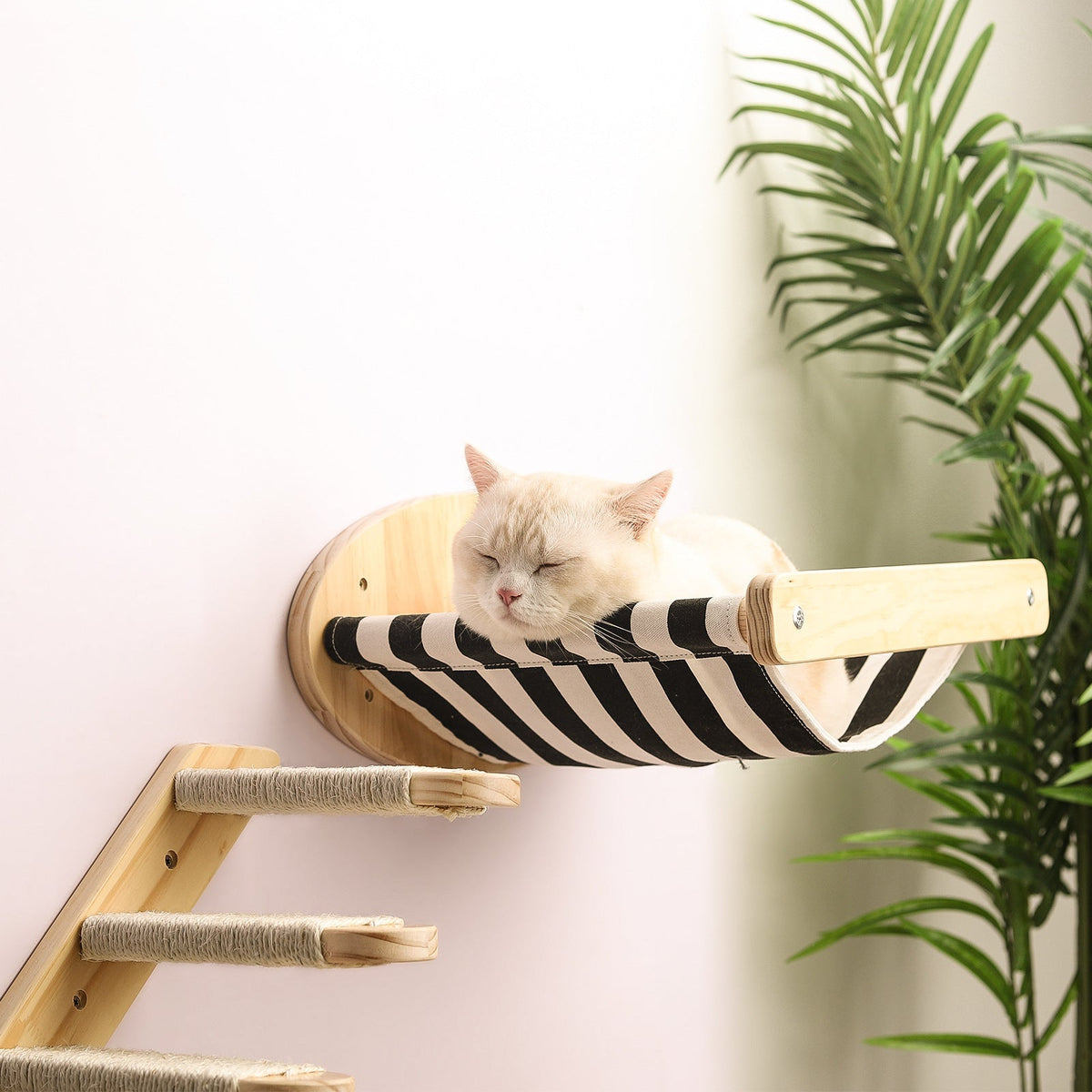 Wall-Mounted Cat Climbing Frame for Indoor Enrichment