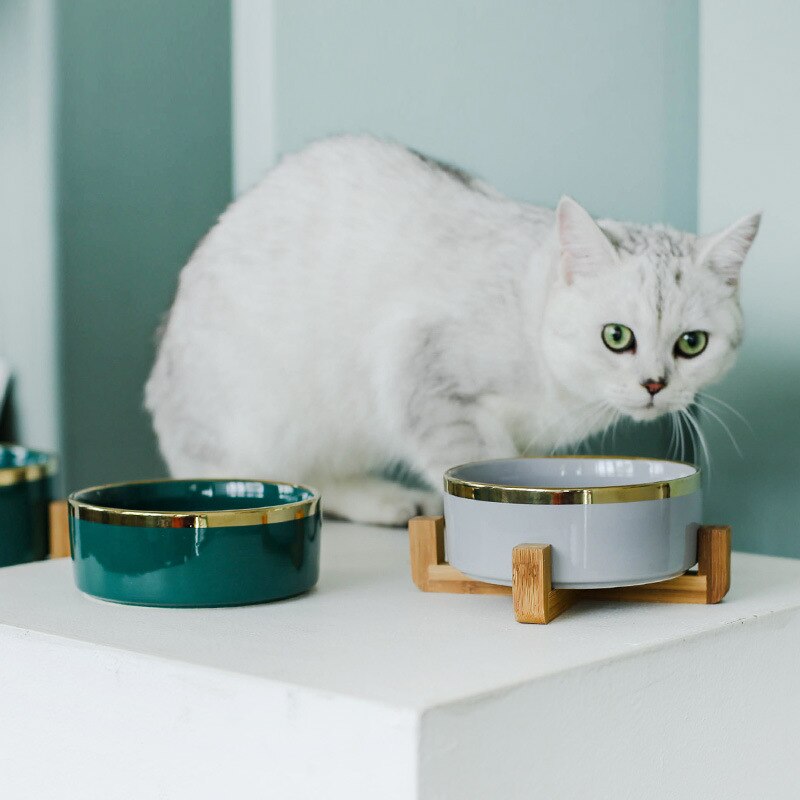 Elevated Ceramic Pet Bowl with Bamboo Stand, 400ml