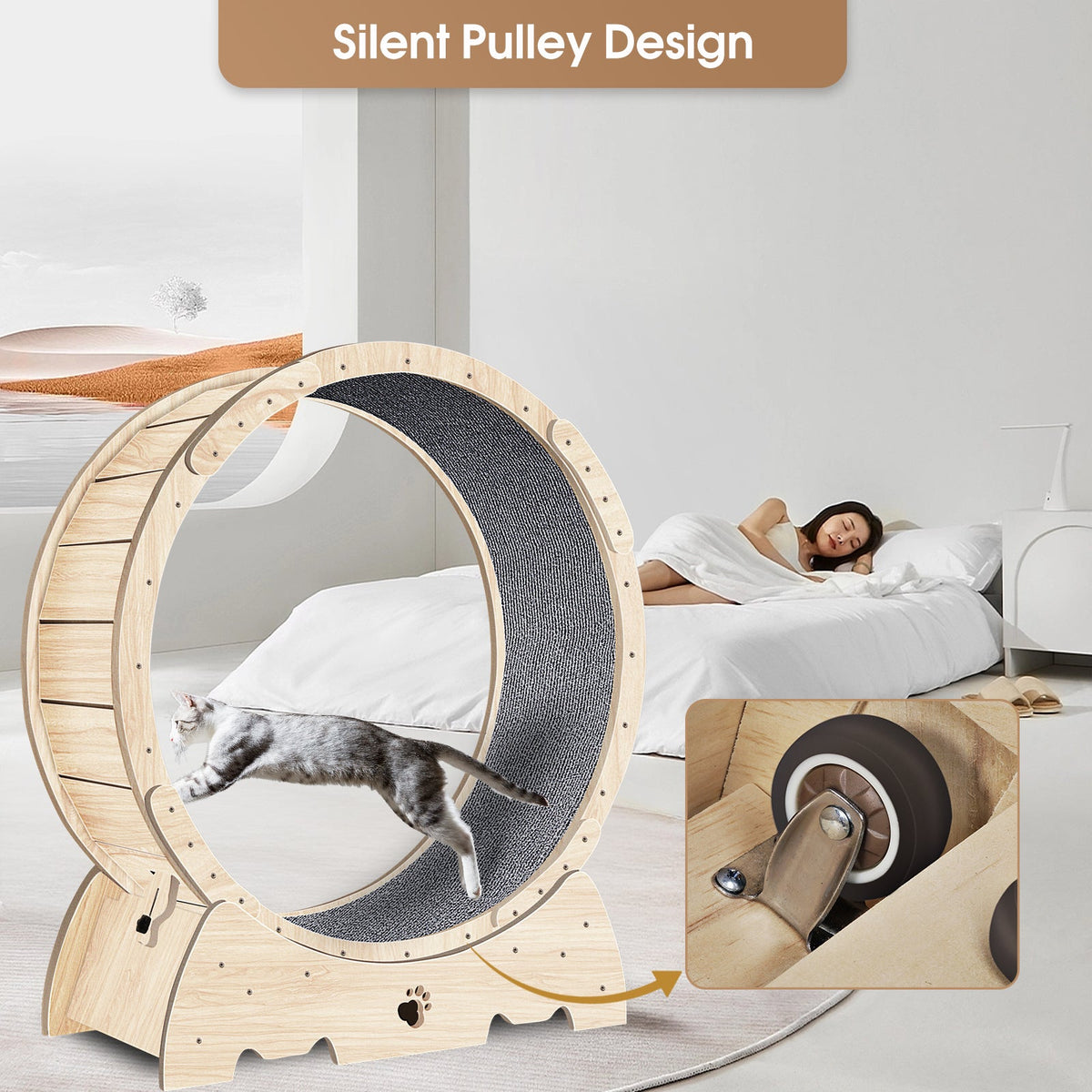Cat Exercise Wheel for Safer Indoor Enrichment Play