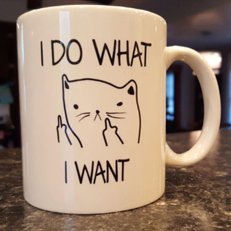 Funny Cat Coffee Mug: Sarcastic Middle Finger Gift