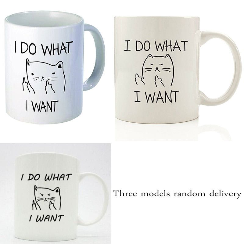 Funny Cat Coffee Mug: Sarcastic Middle Finger Gift