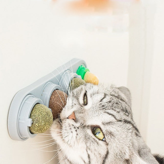Cat Mint Ball Toy for Indoor Interactive Enrichment