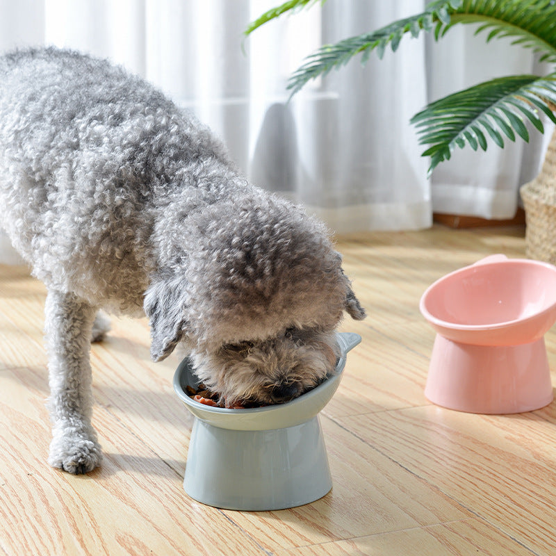 Elevated Slanted Cat Bowl for More Comfortable Feeding