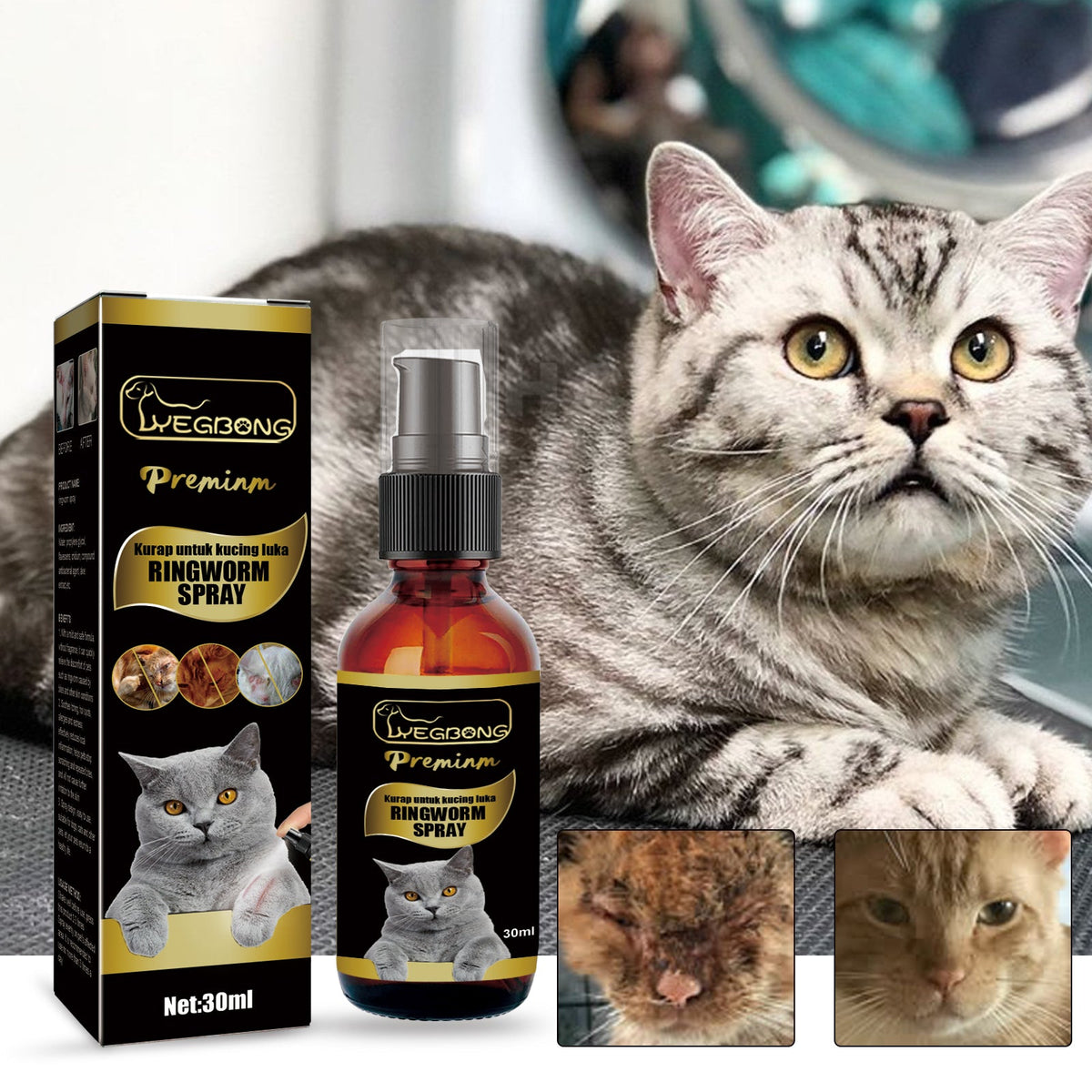 Cat Ringworm Spray for Targeted Skin Irritation Care