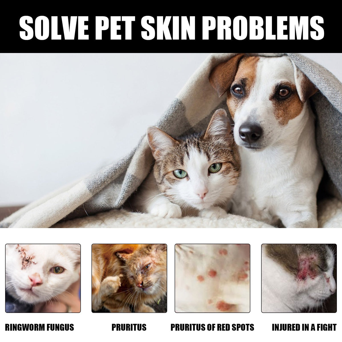 Cat Ringworm Spray for Targeted Skin Irritation Care