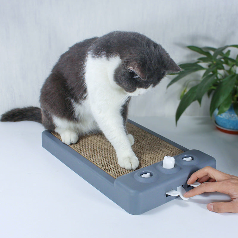 Cat Scratching Board for Boredom & Furniture Relief