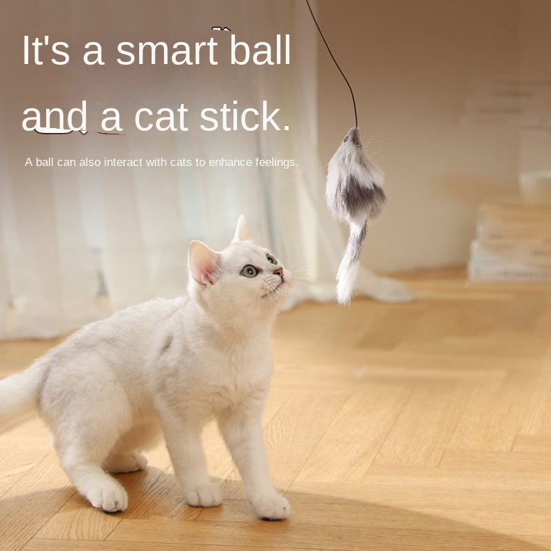 Automatic Cat Toy Ball for Independent Indoor Play