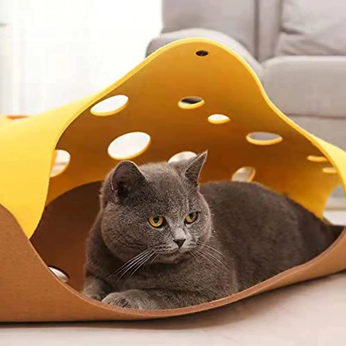 Foldable Cat Tunnel Bed for Indoor Play and Cozy Rest