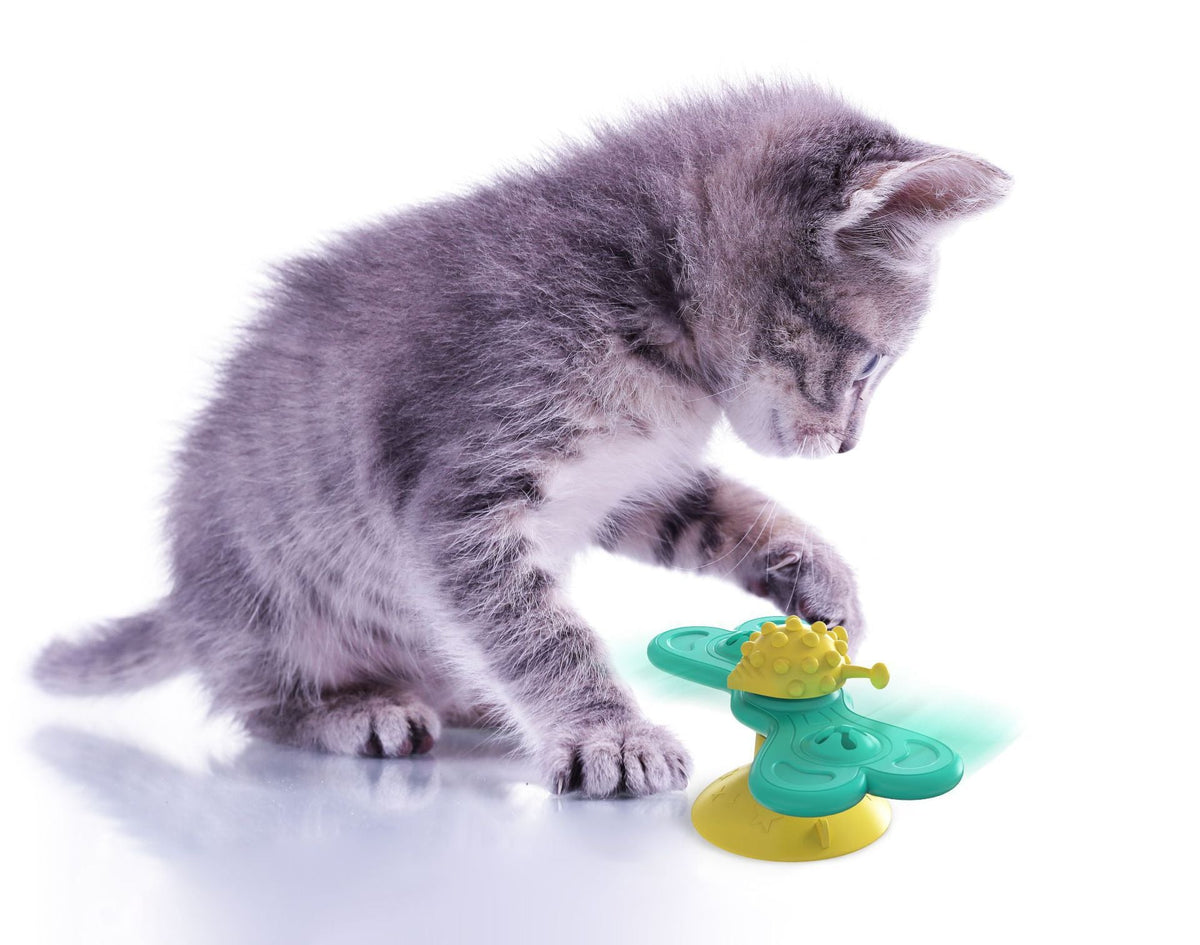 Interactive Cat Turntable Toy for Active Indoor Play