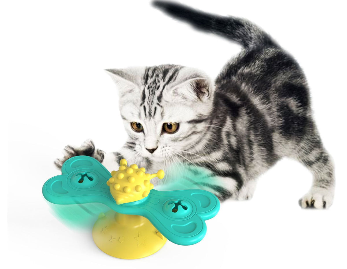 Interactive Cat Turntable Toy for Active Indoor Play