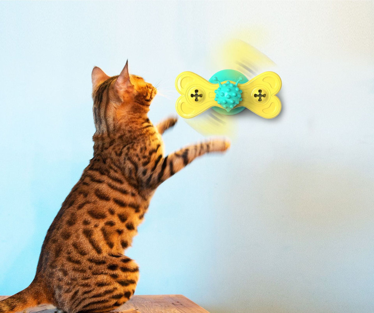 Interactive Cat Turntable Toy for Active Indoor Play