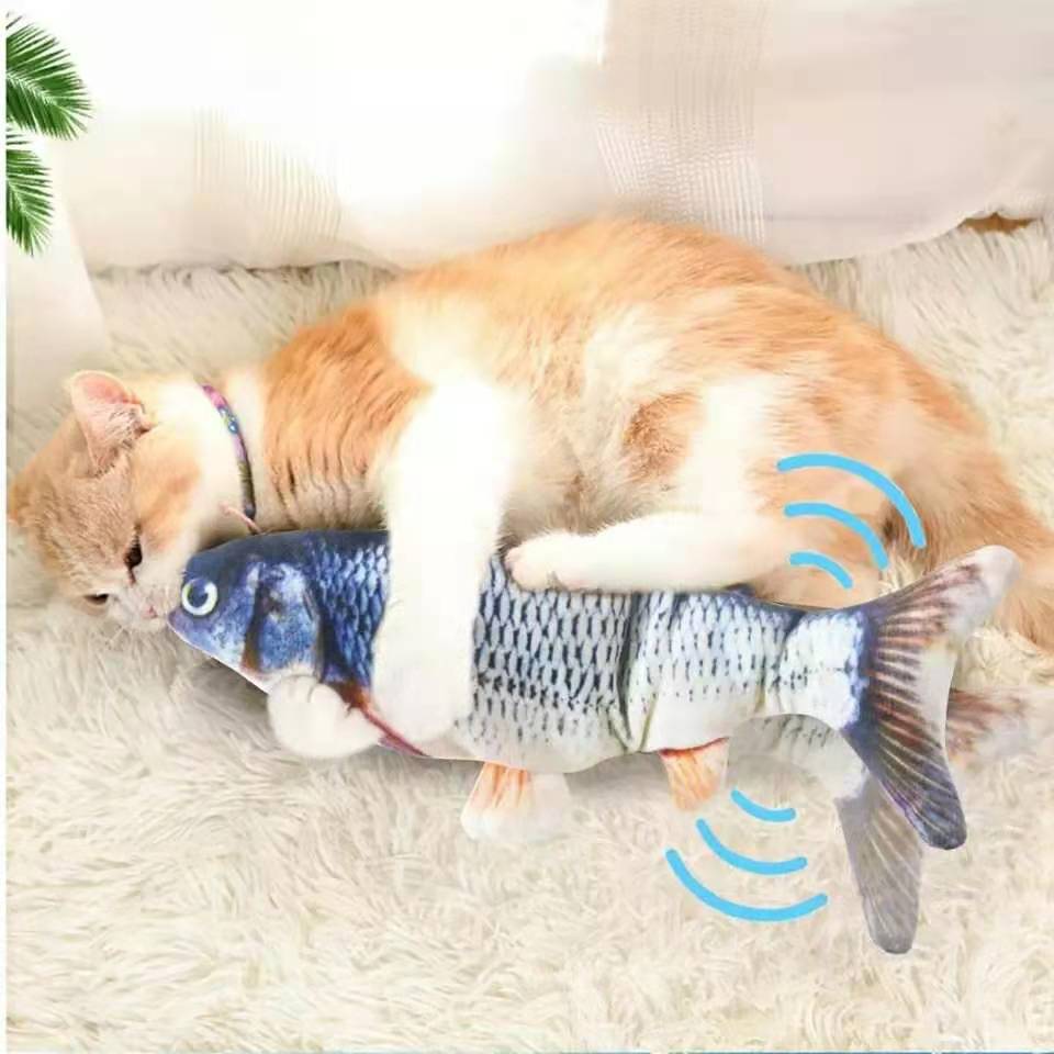 Interactive Fish Cat Toy for Indoor Play & Exercise