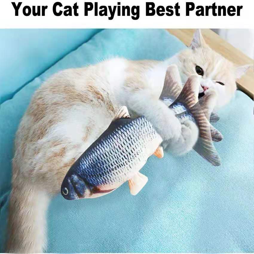 Interactive Fish Cat Toy for Indoor Play & Exercise