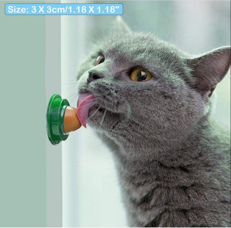 Catnip Wall Ball Toy for Hands-Free Cat Enrichment