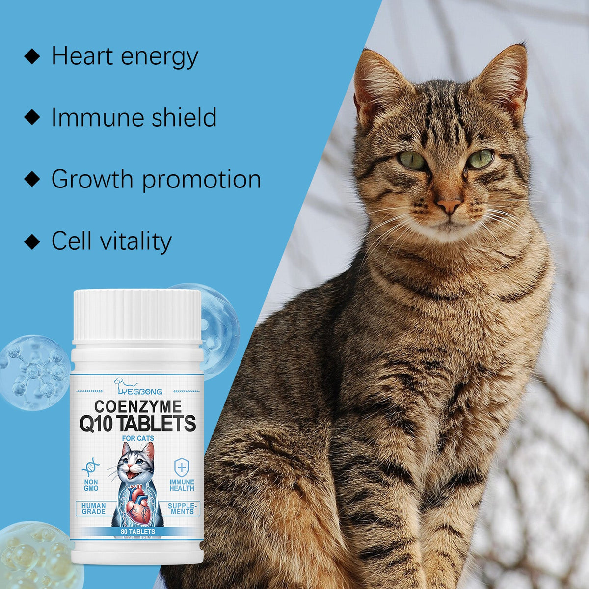 CoQ10 Cat Tablets for Daily Heart & Immune Support