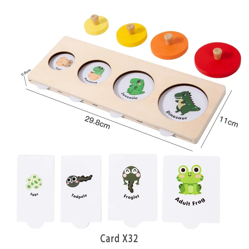Evolution Growth Puzzle Toy for Sequencing & Matching