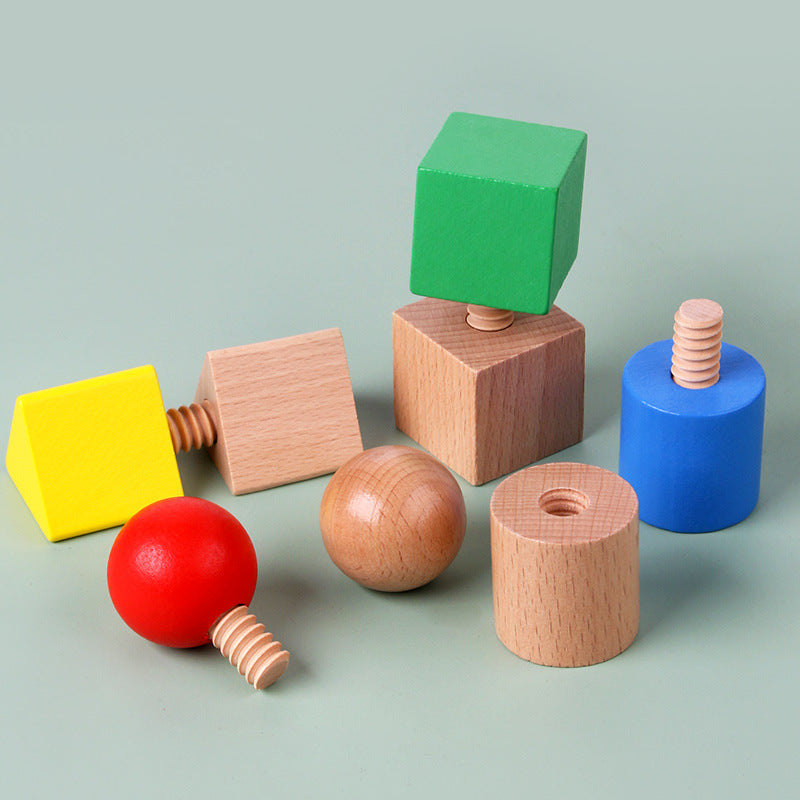 Wooden Shape Matching Toy for Fine Motor Skill Practice