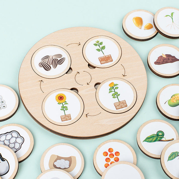 Wooden Life Cycle Puzzle Board for Nature Learning