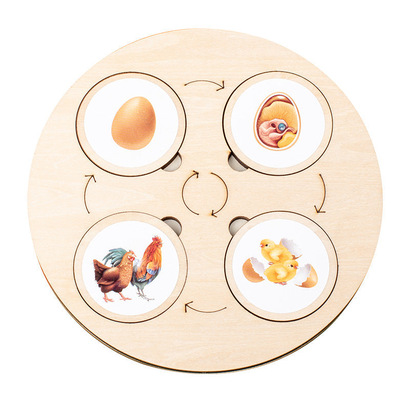 Wooden Life Cycle Puzzle Board for Nature Learning