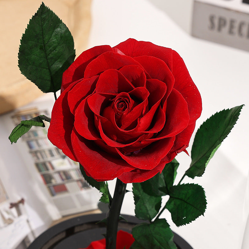Preserved Red Rose Gift with Glass Dome Romantic Keepsake