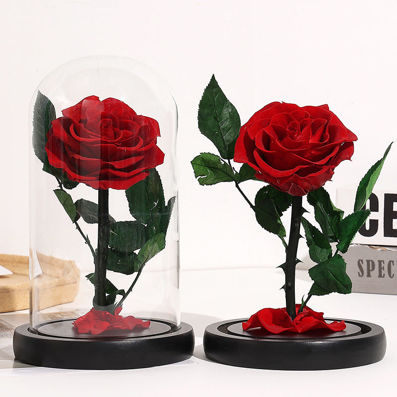 Preserved Red Rose Gift with Glass Dome Romantic Keepsake