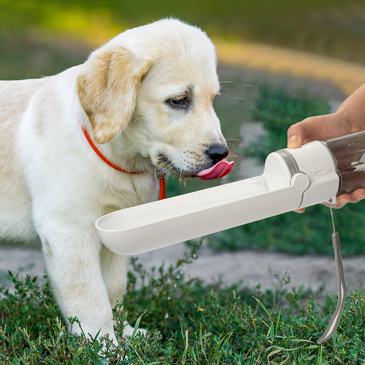 Portable Dog Water Dispenser With Rotating Drink Cup