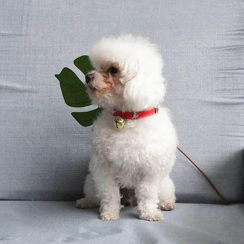 Adjustable Pet Collar With Bell for Playful Everyday Style