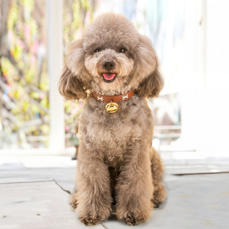 Adjustable Pet Collar With Bell for Playful Everyday Style