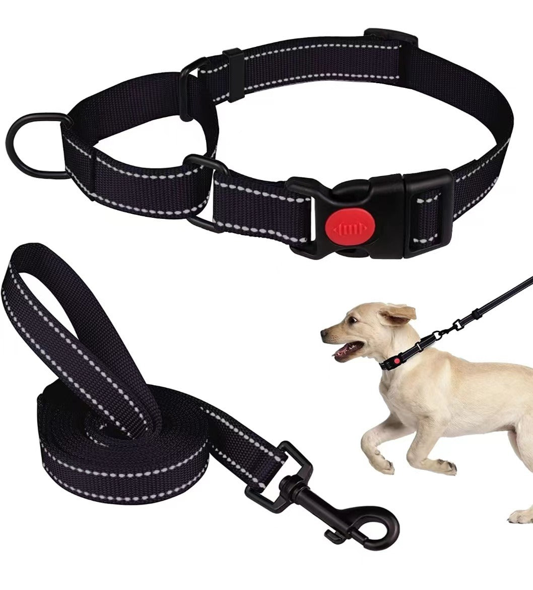 Reflective Dog Collar and Leash Set for Safer Walks