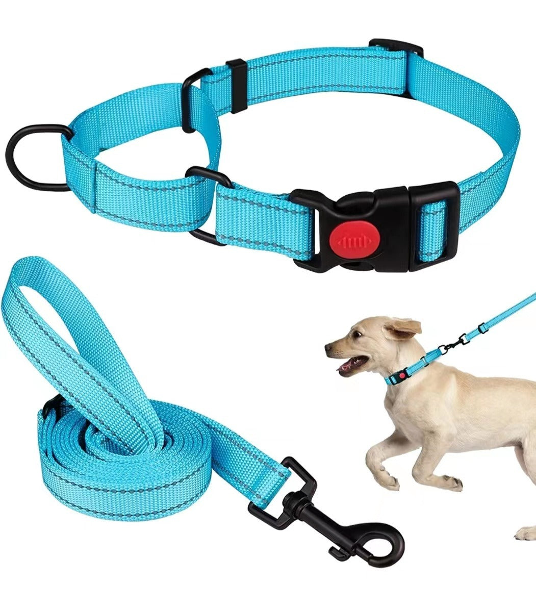 Reflective Dog Collar and Leash Set for Safer Walks