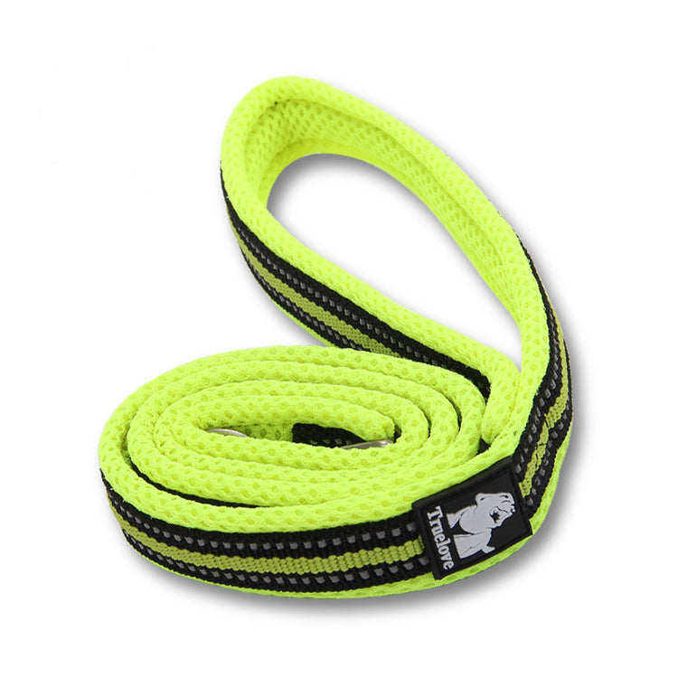 Reflective Nylon Dog Leash for Visible Daily Walks