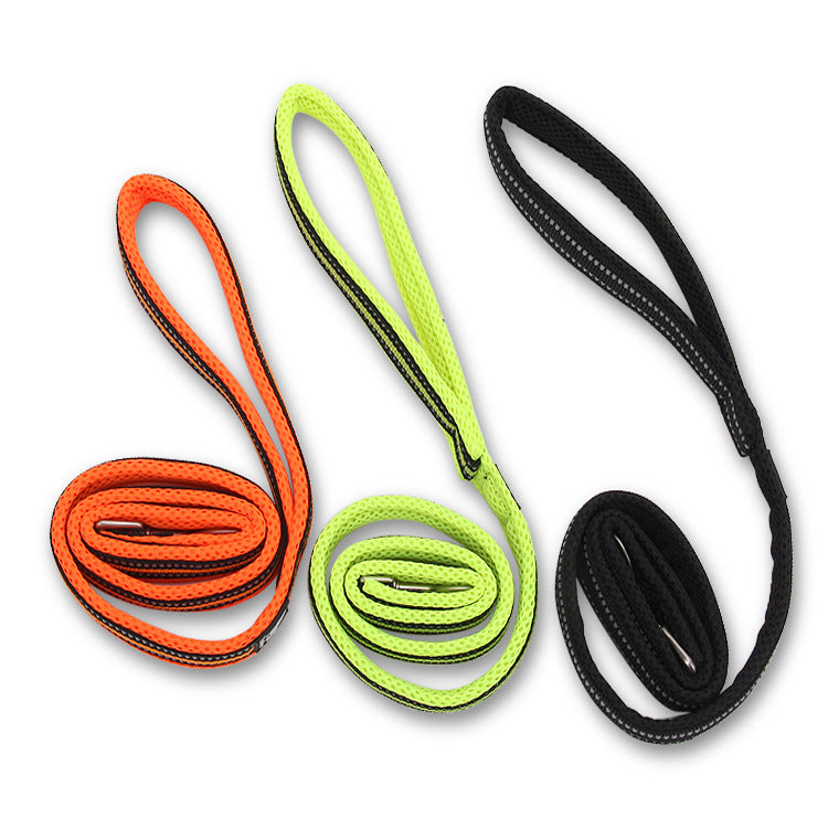 Reflective Nylon Dog Leash for Visible Daily Walks