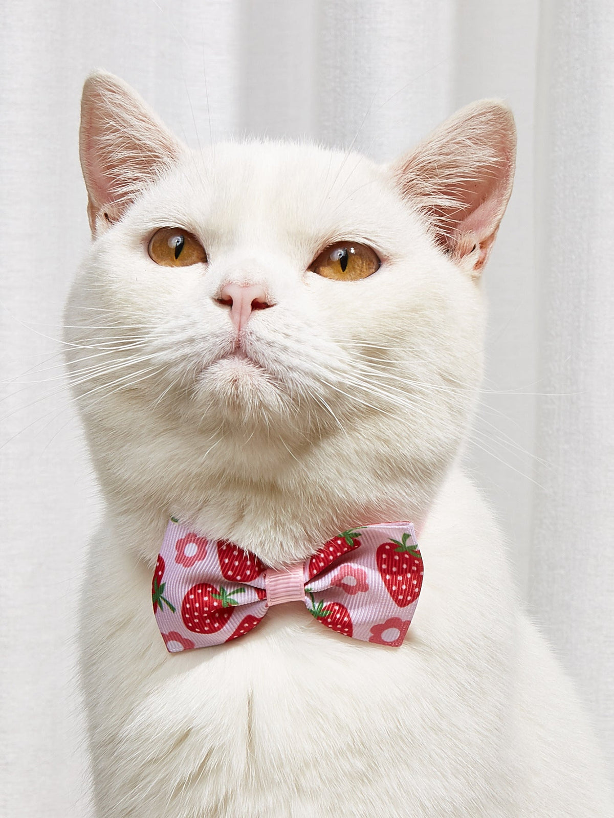 Pet Bow Tie Set for Cats & Dogs | Photo-Ready Style