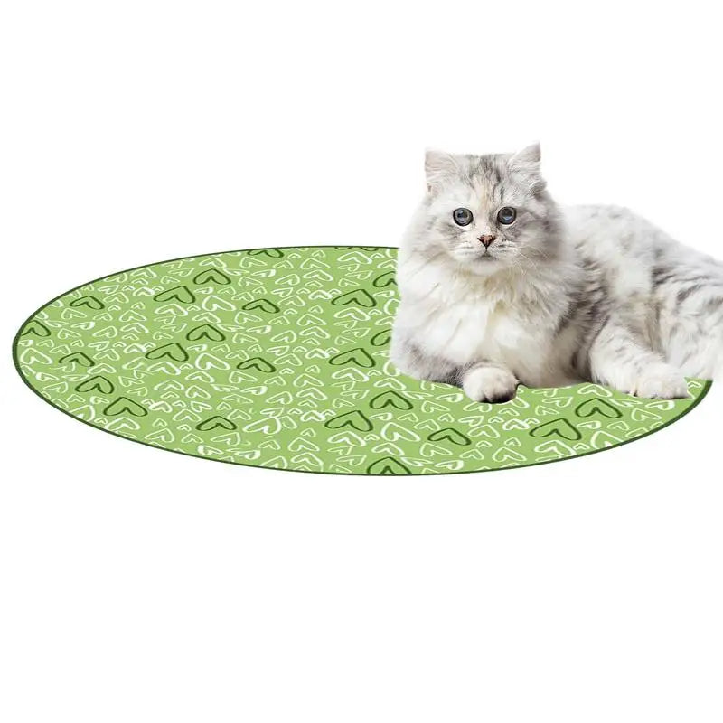 Concealed Motion Cat Toy for Indoor Cat Exercise Play