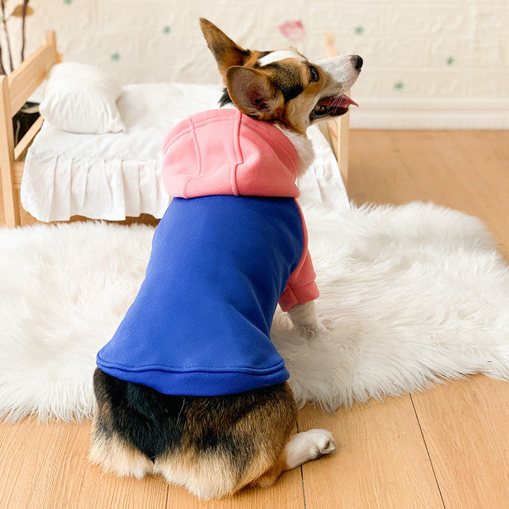Corgi Dog Hoodie for Cool Weather and Hair Coverage