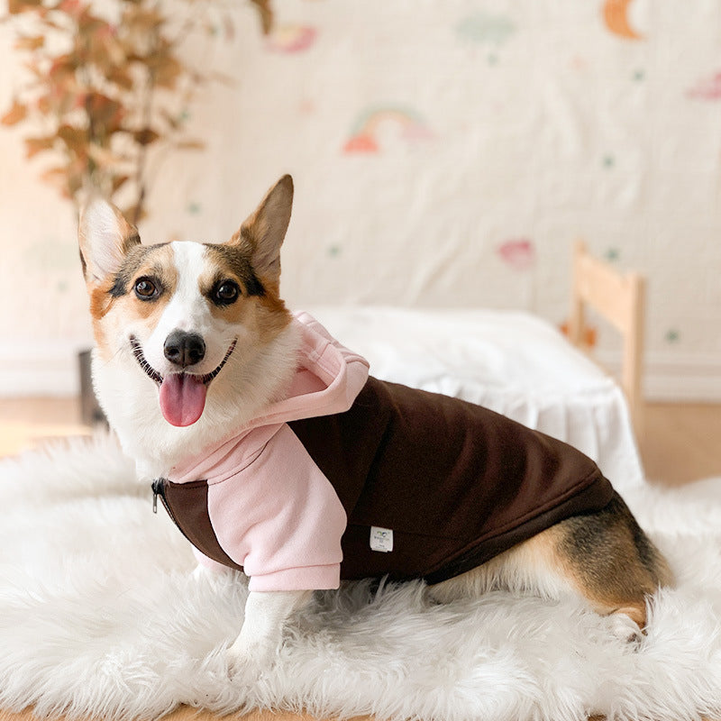 Corgi Dog Hoodie for Cool Weather and Hair Coverage