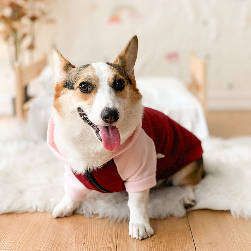 Corgi Dog Hoodie for Cool Weather and Hair Coverage