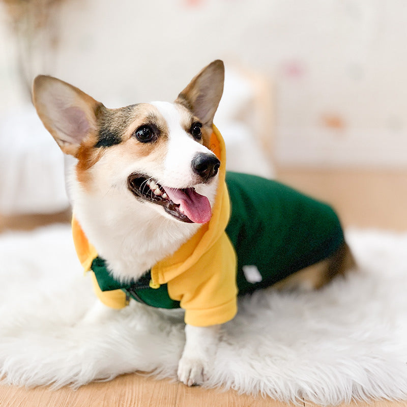 Corgi Dog Hoodie for Cool Weather and Hair Coverage