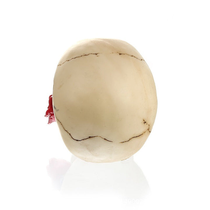 Courtship Skull Decoration with Romantic Gothic Rose