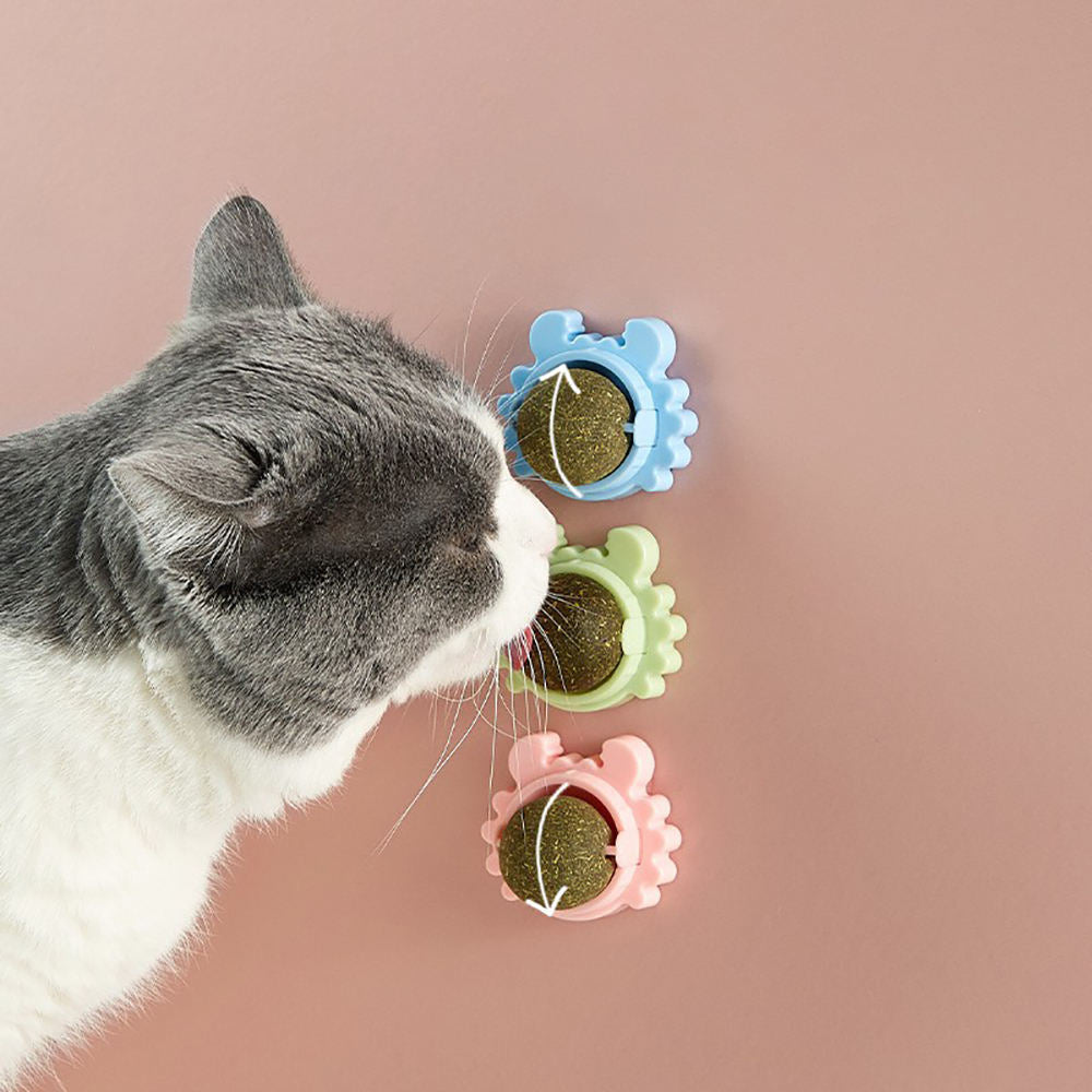 Rotating Catnip Ball Toy for Indoor Dental Playtime