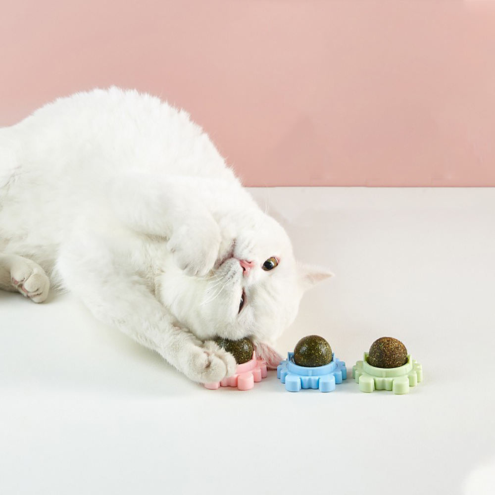 Rotating Catnip Ball Toy for Indoor Dental Playtime