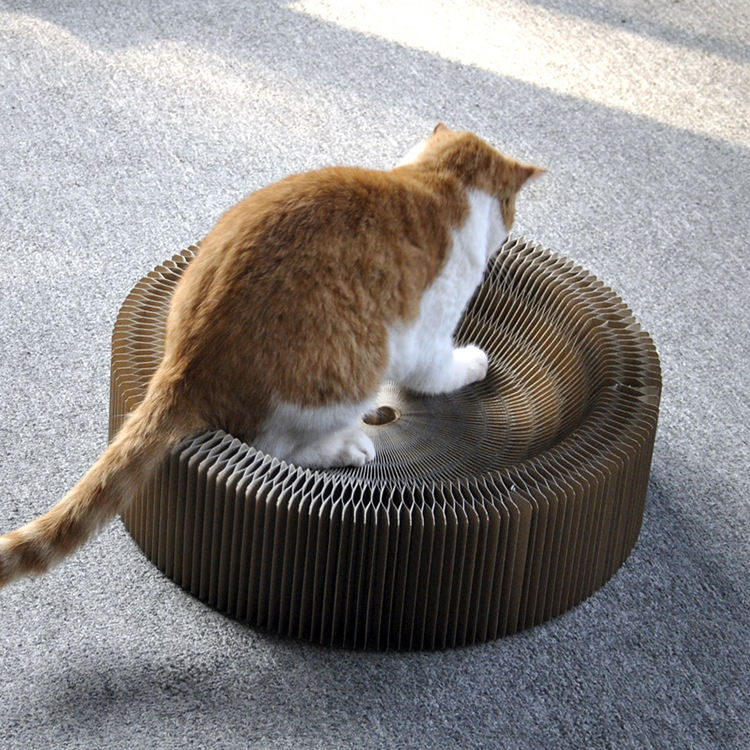 Accordion Cat Scratching Board for Play & Lounging