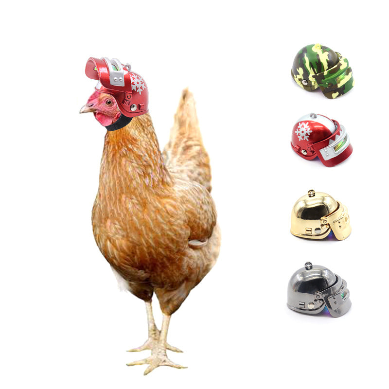 Chicken Safety Helmet for Supervised Outdoor Photo Fun