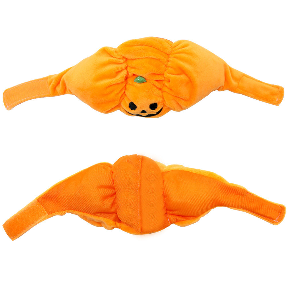 Pumpkin Pet Hat for Adorable Halloween Photo Moments
