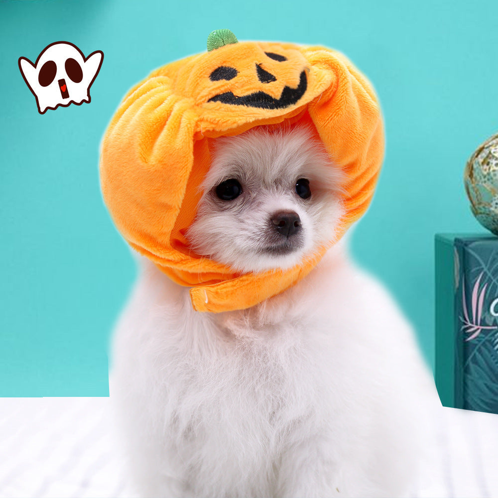 Pumpkin Pet Hat for Adorable Halloween Photo Moments